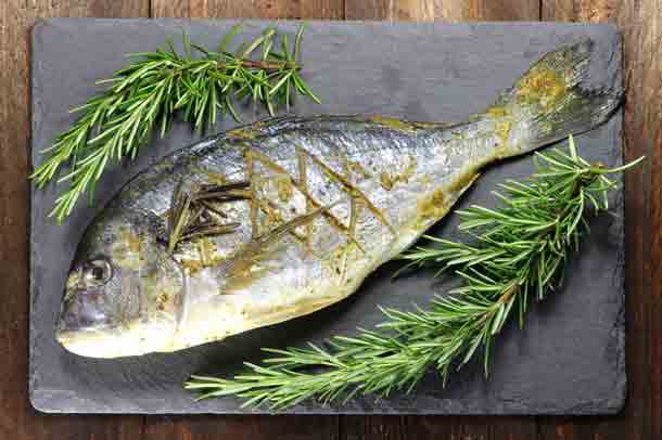 Fisch gegrillt