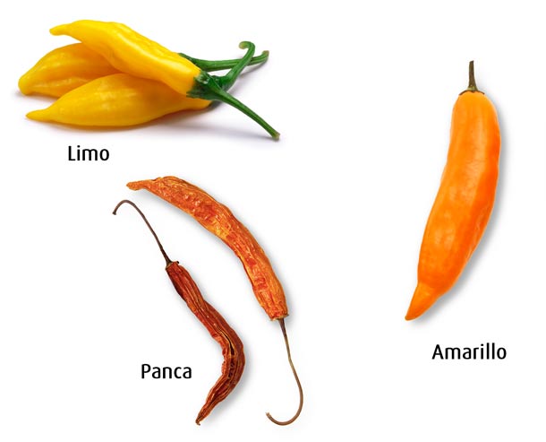 Peruanische Chilis