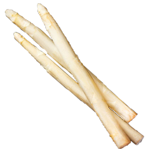 Spargel