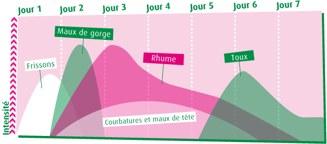 Programme « refroidissement » 