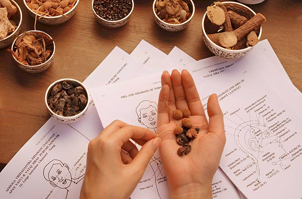 3000 Heilpflanzen werden in der ayurvedischen Pharmakologie verwendet. (Foto: aga, L. I. Tetto)