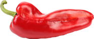 Rote Paprika
